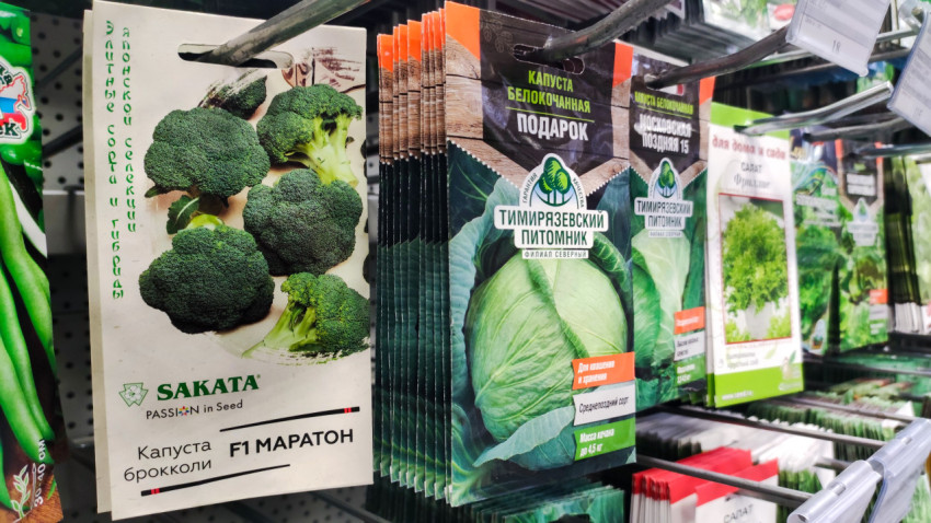 Пакетики семян брокколи и капусты на витрине магазина