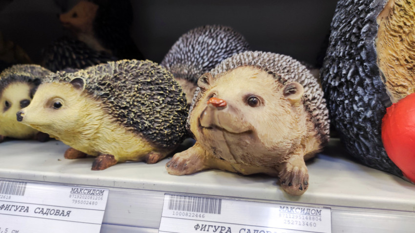 Садовые фигурки ёжиков на витрине магазина