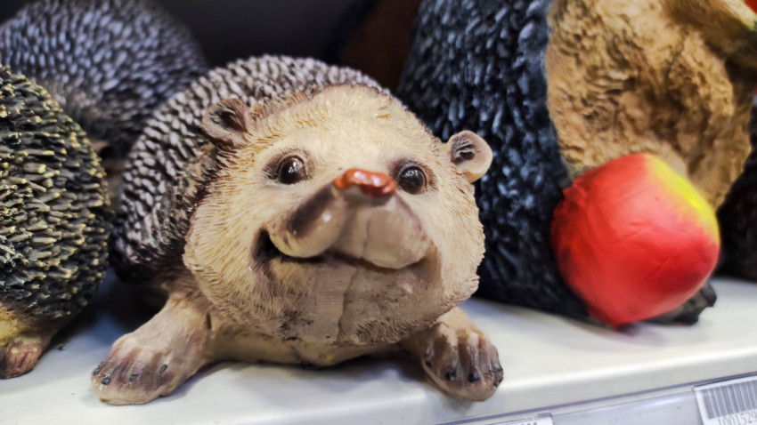 Крупная садовая фигурка ёжика на полке магазина