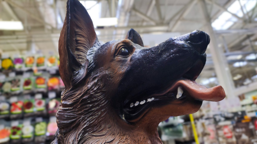 Крупный план декоративной фигурки собаки в магазине