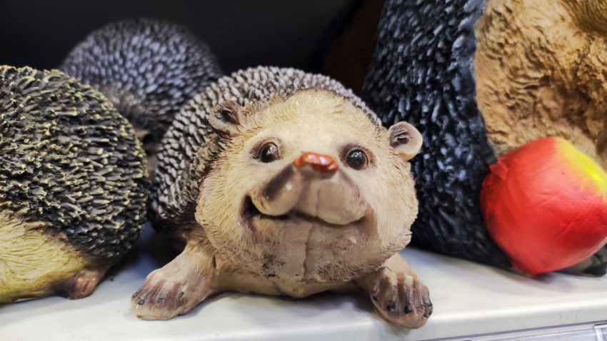 Садовая фигурка ёжика на полке магазина