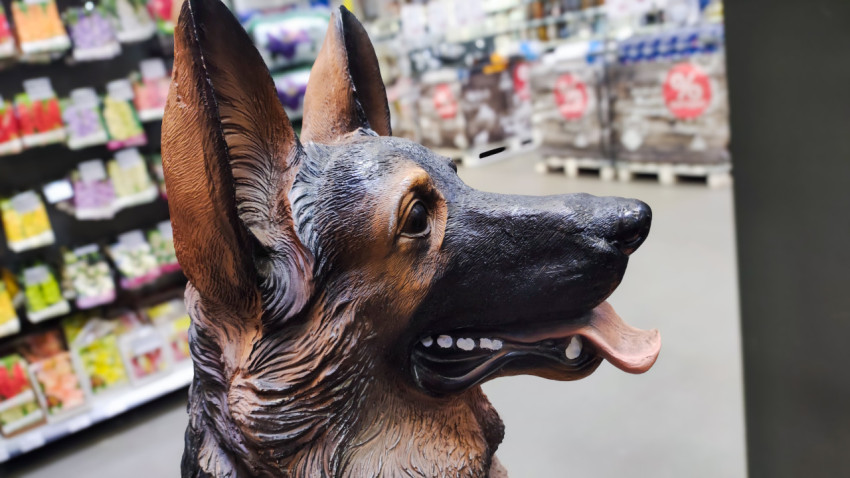 Профильная садовая фигурка собаки на фоне магазина