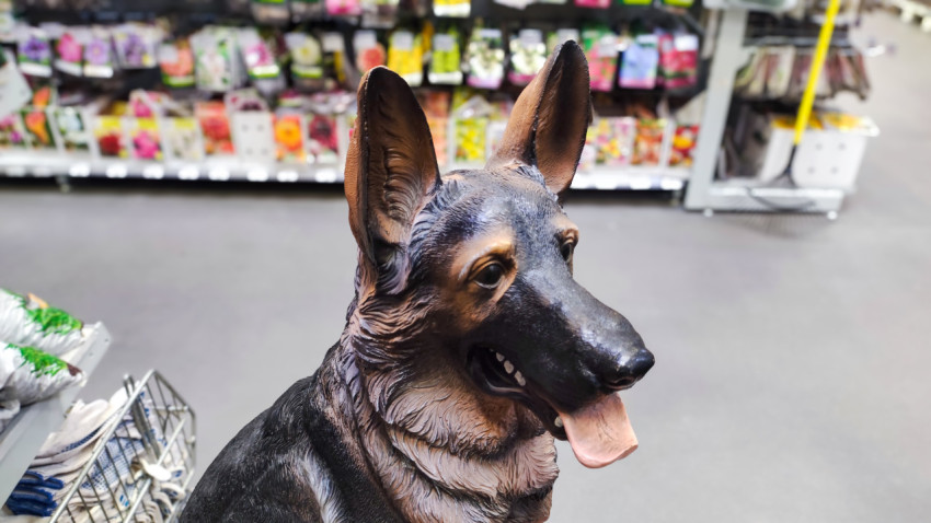 Декоративная фигурка овчарки в отделе садовых товаров