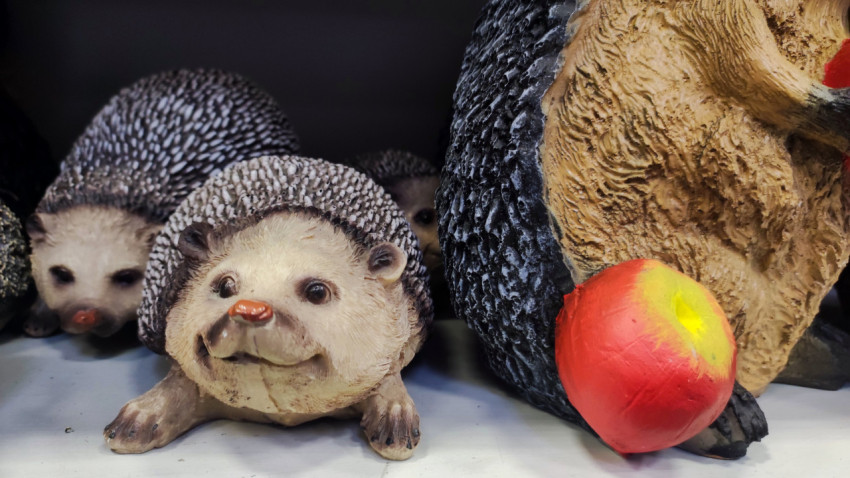 Декоративные фигурки ежей с яблоком, размещённые на полке магазина