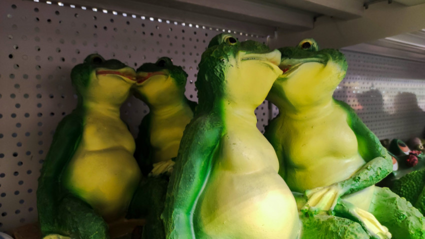 Декоративные лягушки в паре на полке магазина садовых товаров