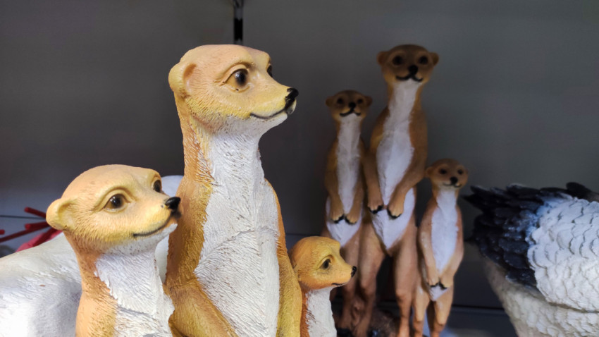 Декоративные сурикаты на полке магазина