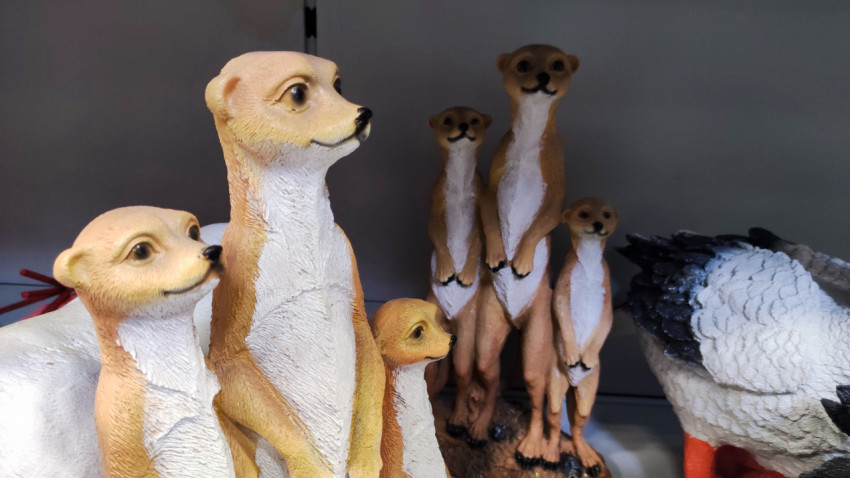 Декоративные сурикаты на витрине магазина