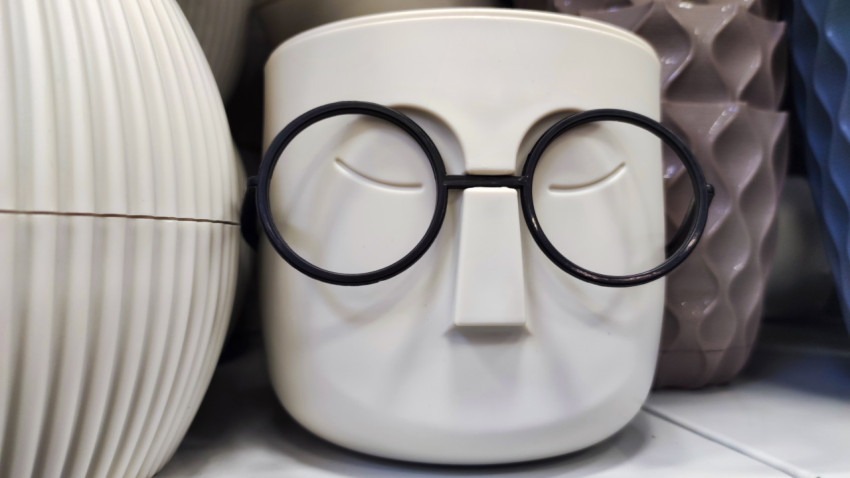 Кашпо в форме лица с крупными очками на витрине магазина