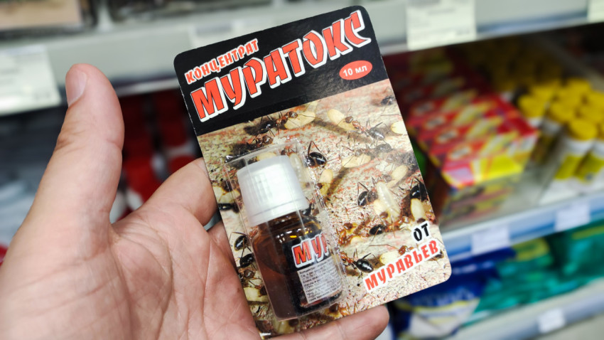 Упаковка концентрата «Муратокс» от муравьев в руке покупателя