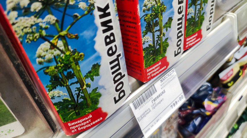 Упаковка гербицида «Борщевик OFF» крупным планом