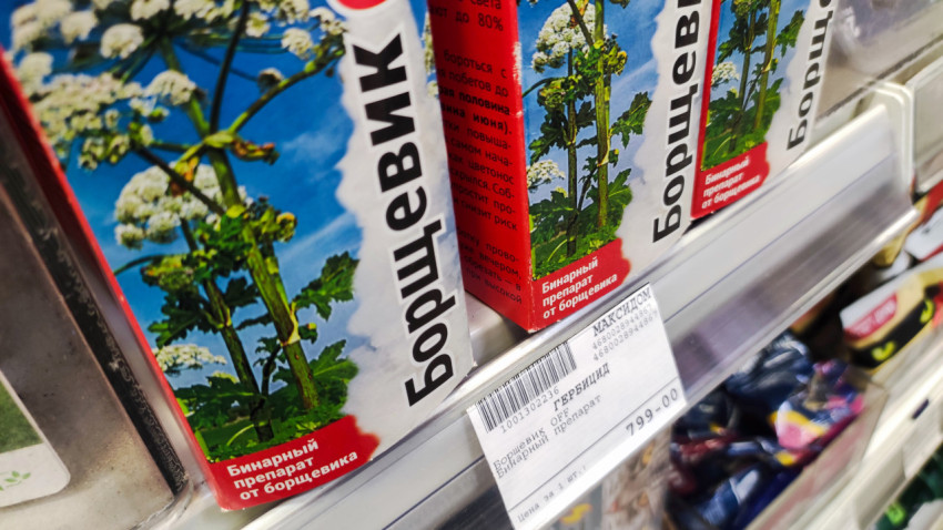 Средство «Борщевик OFF» на стеллаже магазина