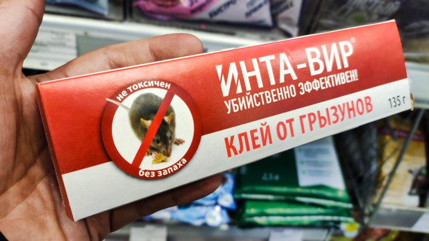 Клей от грызунов «Инта-Вир» в руке покупателя