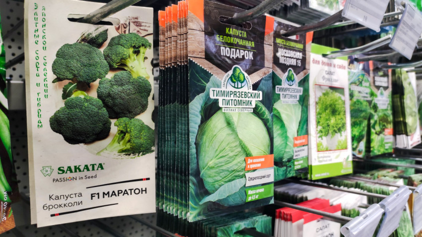 Семена брокколи и капусты на торговой полке магазина