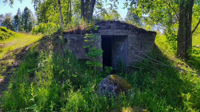 Заброшенное бетонное укрытие с входным проёмом, частично засыпанное грунтом и заросшее травой