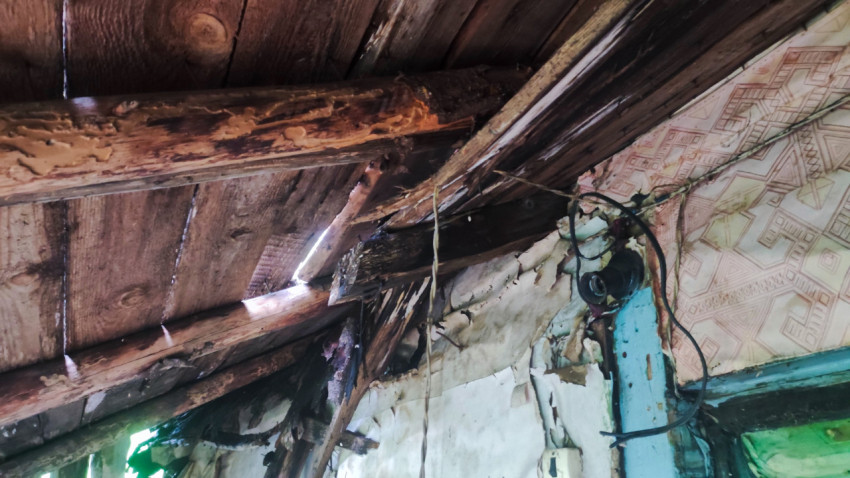 Повреждённые стропила и электропроводка под потолком деревянного дома