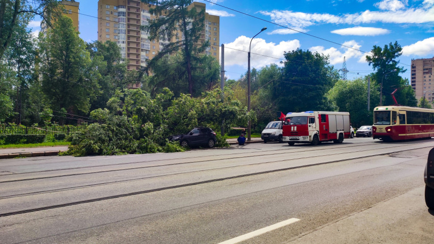 Пожарная машина у места падения дерева рядом с трамвайной линией