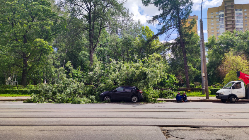 Упавшее дерево на автомобиль у обочины возле трамвайных рельсов
