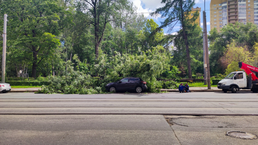 Поваленное дерево и рабочие у края дороги с трамвайной контактной сетью