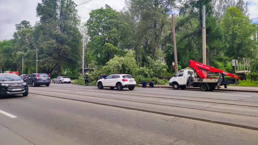 Широкий вид на ликвидацию завала от упавшего дерева на улице с трамвайными путями