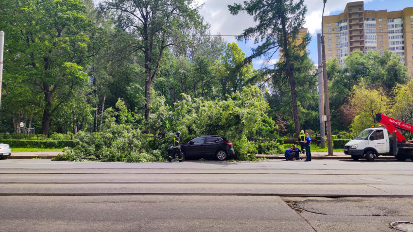 Упавшее дерево накрыло припаркованный кроссовер, рядом работают спасатели и грузовик с манипулятором