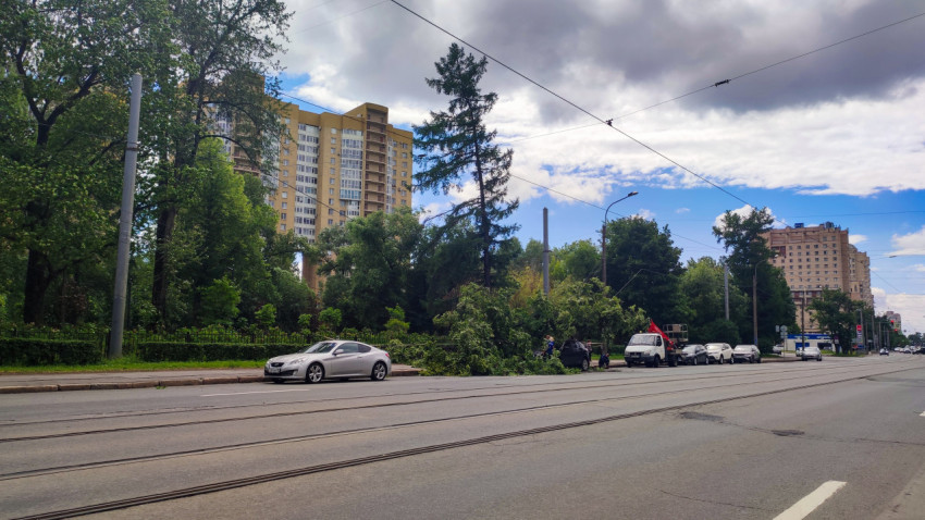 Широкий вид проспекта с трамвайными путями и местом расчистки упавшего дерева у обочины