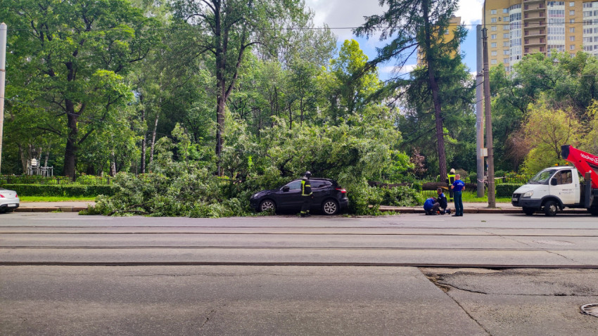 Расчистка поваленного дерева у трамвайных путей и повреждённый автомобиль у бордюра