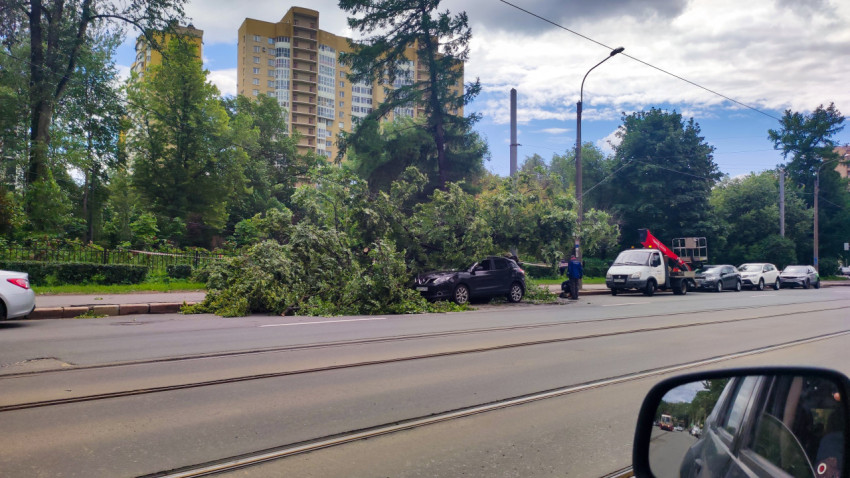Вид из автомобиля на упавшее дерево, спецтехнику и очередь машин вдоль трамвайных путей