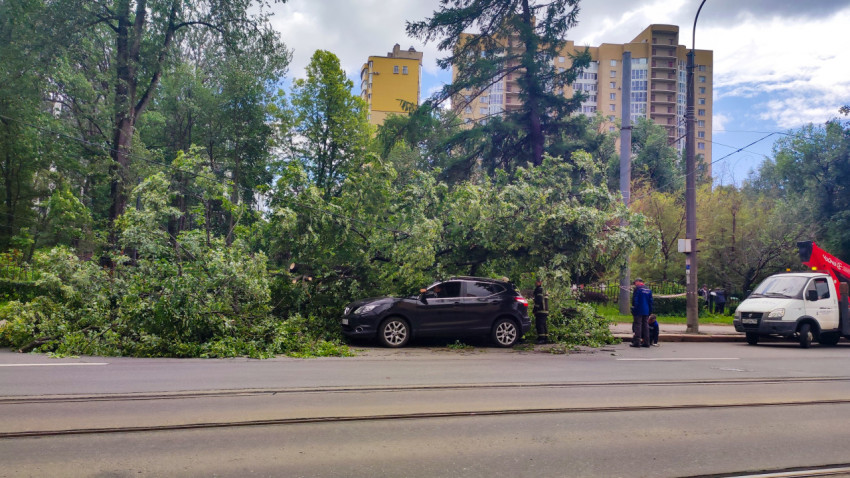 Крона поваленного дерева на припаркованном кроссовере и работа аварийной бригады у тротуара