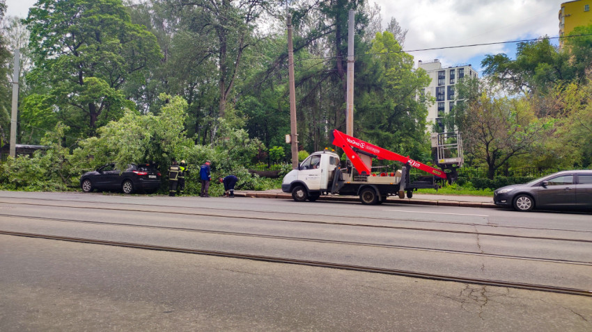 Автовышка и бригада коммунальных служб рядом с упавшим деревом и припаркованным кроссовером