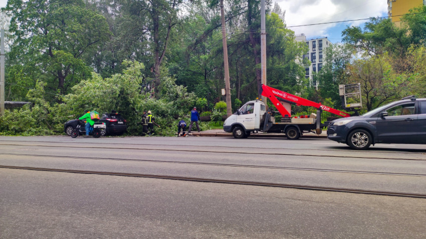 Рабочий с бензопилой и спецтехника на фоне упавшего дерева у трамвайной линии