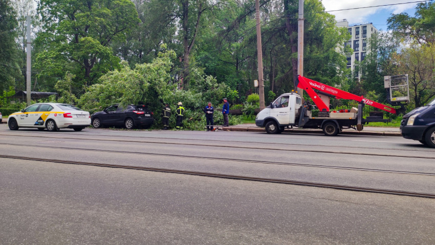 Такси Yandex Go, автовышка и аварийные службы на месте падения дерева на припаркованный кроссовер