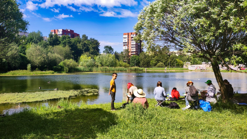 Люди на берегу городского пруда с утками и кувшинками