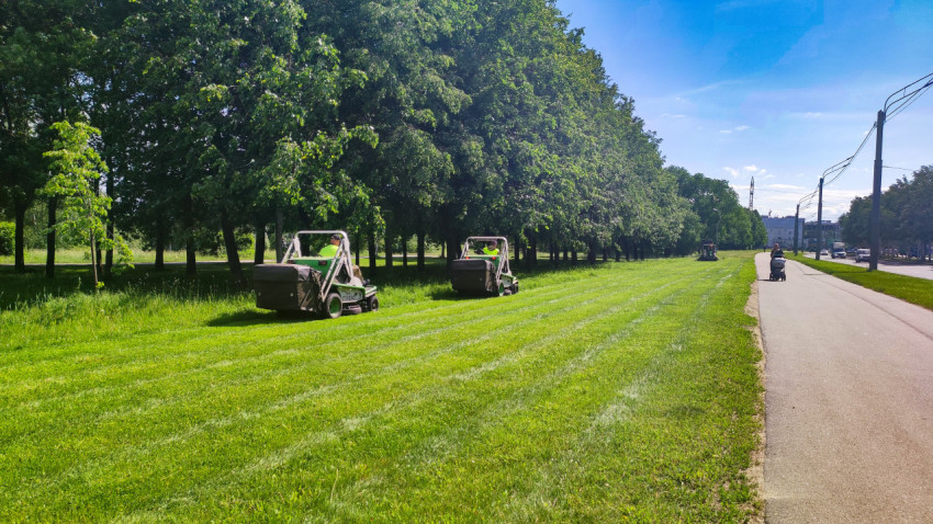 Стрижка газона самоходными газонокосилками вдоль аллеи