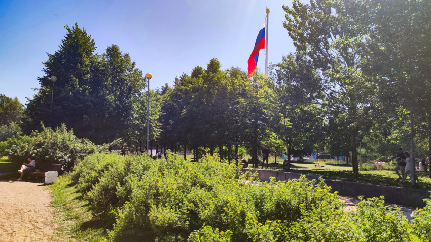 Высокий флагшток с российским флагом виден над деревьями в зелёной зоне парка