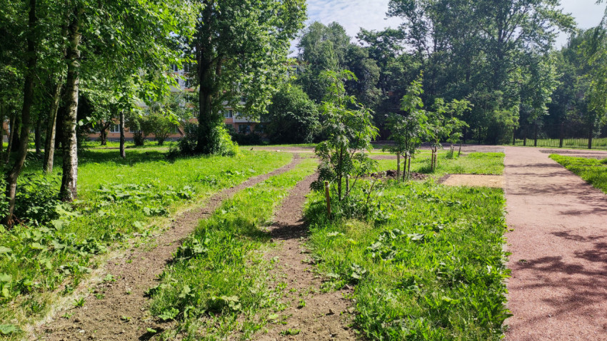 Дворовая территория с тропинкой по грунту и новой красноватой дорожкой