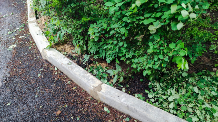 Бордюр у зелёной зоны с обрезанными ветками и листьями на мокром асфальте