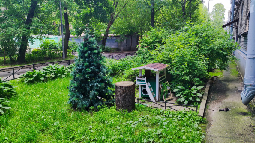 Зелёный уголок двора с елью, пнём и декоративным домиком у тропинки