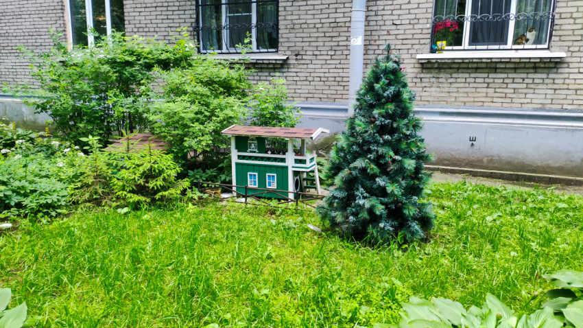 Дворовое озеленение с декоративным домиком, елью и окнами кирпичного дома