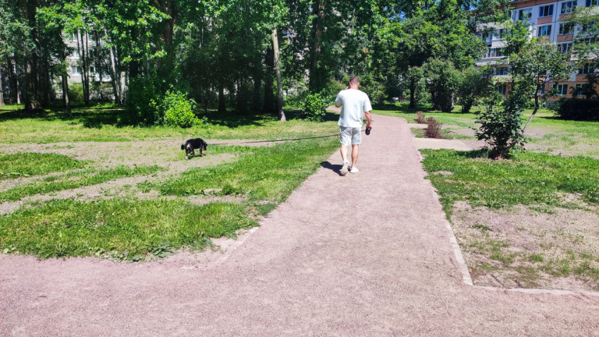 Мужчина выгуливает собаку на поводке по пешеходной дорожке в зелёном дворе