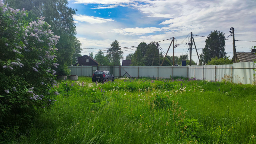 Заросший травой участок с сиренью, забором и линиями электропередачи