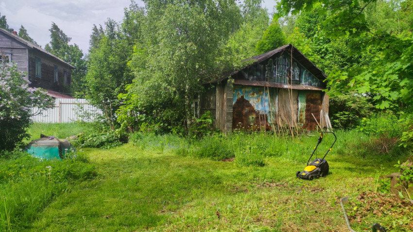 Дачный участок с хозпостройкой и газонокосилкой среди деревьев