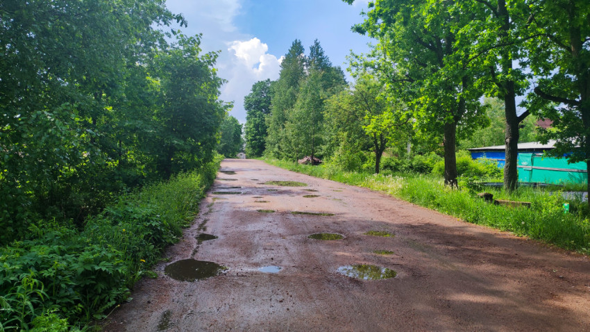 Влажная дорога с лужами в зелёном частном секторе