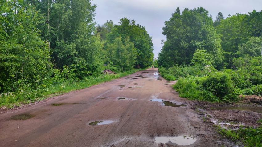 Лесная грунтовка с лужами и канавой у обочины