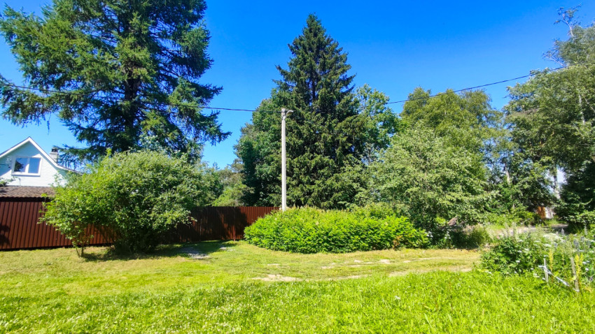 Газон с хвойными деревьями, кустарниками и проводами над участком