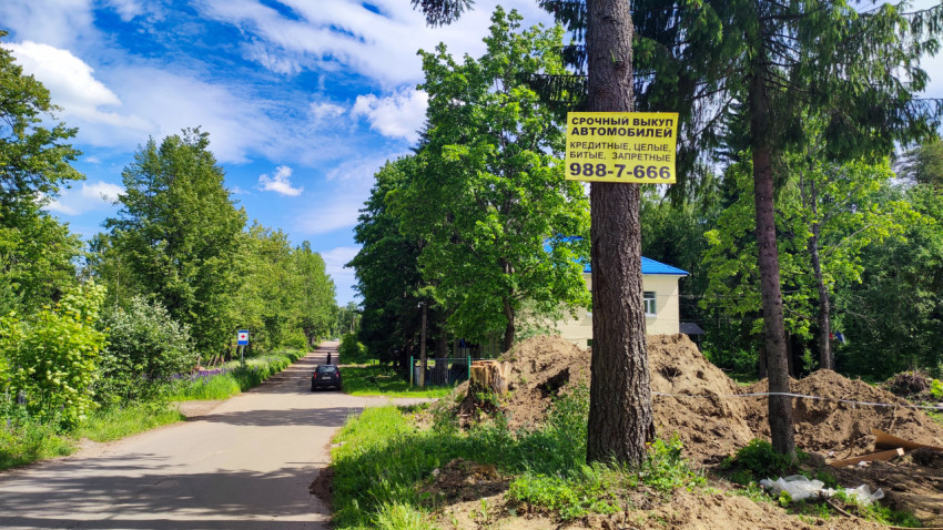 Лесная дорога с рекламной табличкой на дереве и кучами грунта у обочины