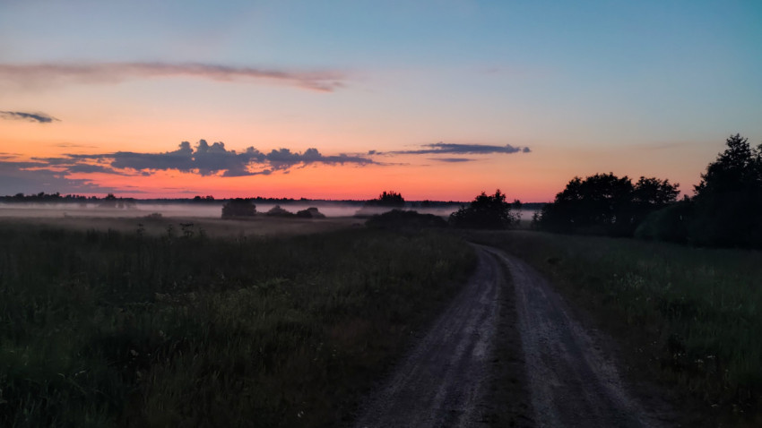 Просёлочная грунтовка среди травы на фоне закатного неба и тумана