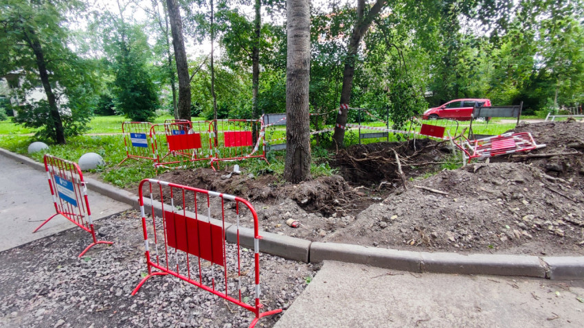 Траншея и насыпи грунта, огороженные барьерами, рядом с деревьями