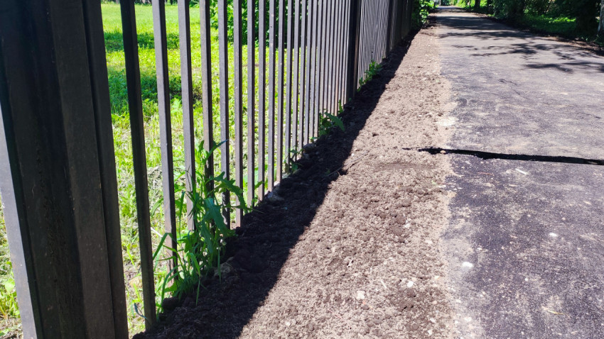 Асфальтовая дорожка вдоль металлического забора с подсыпкой грунта по краю