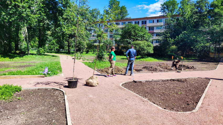 Подготовка к посадке саженцев у новых дорожек во дворе жилого дома