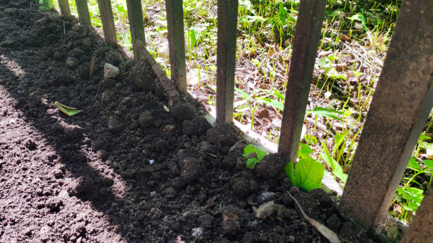 Подсыпка грунта вдоль основания металлического забора